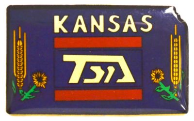 Kansas 2001 State Pin