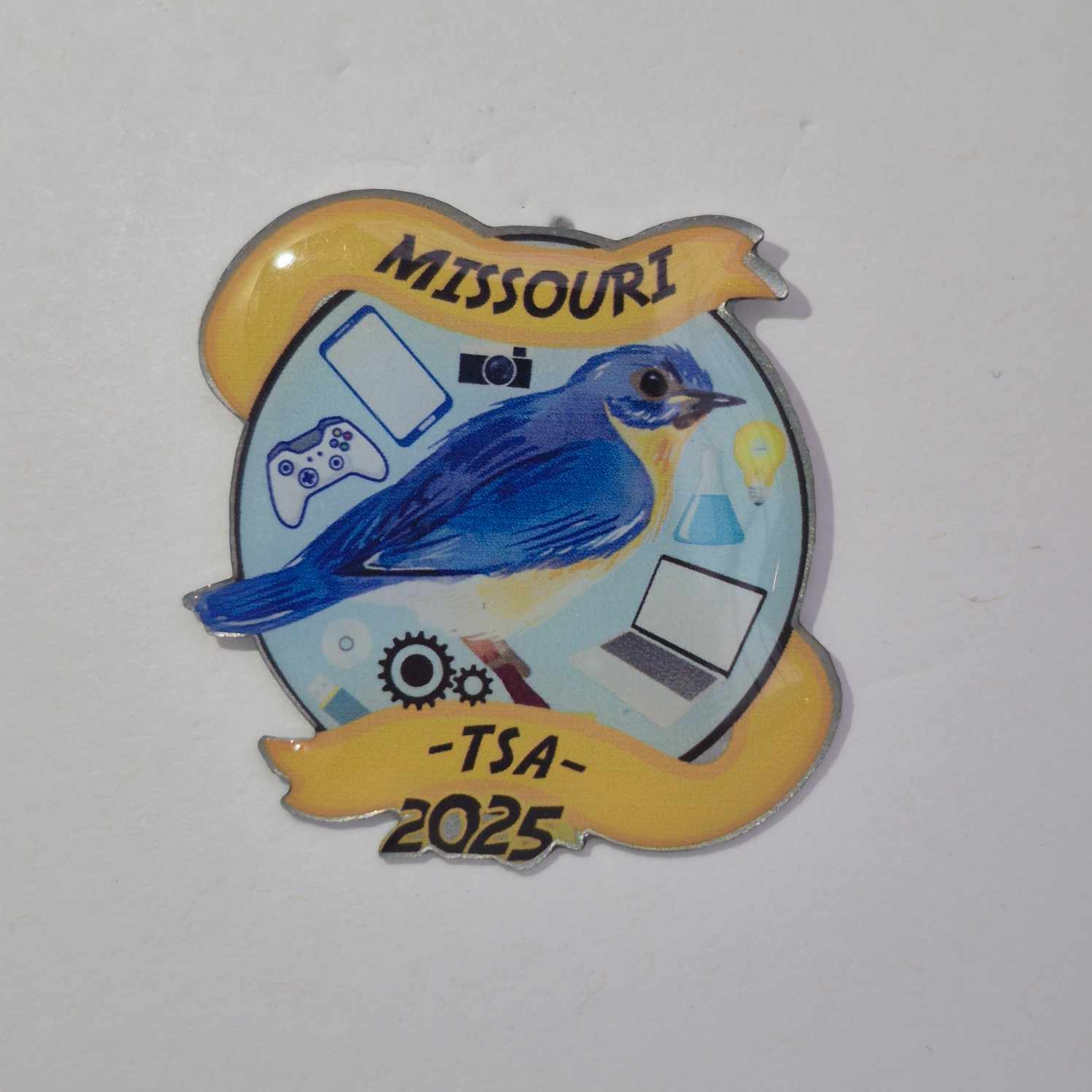 MI 2025 State Pin