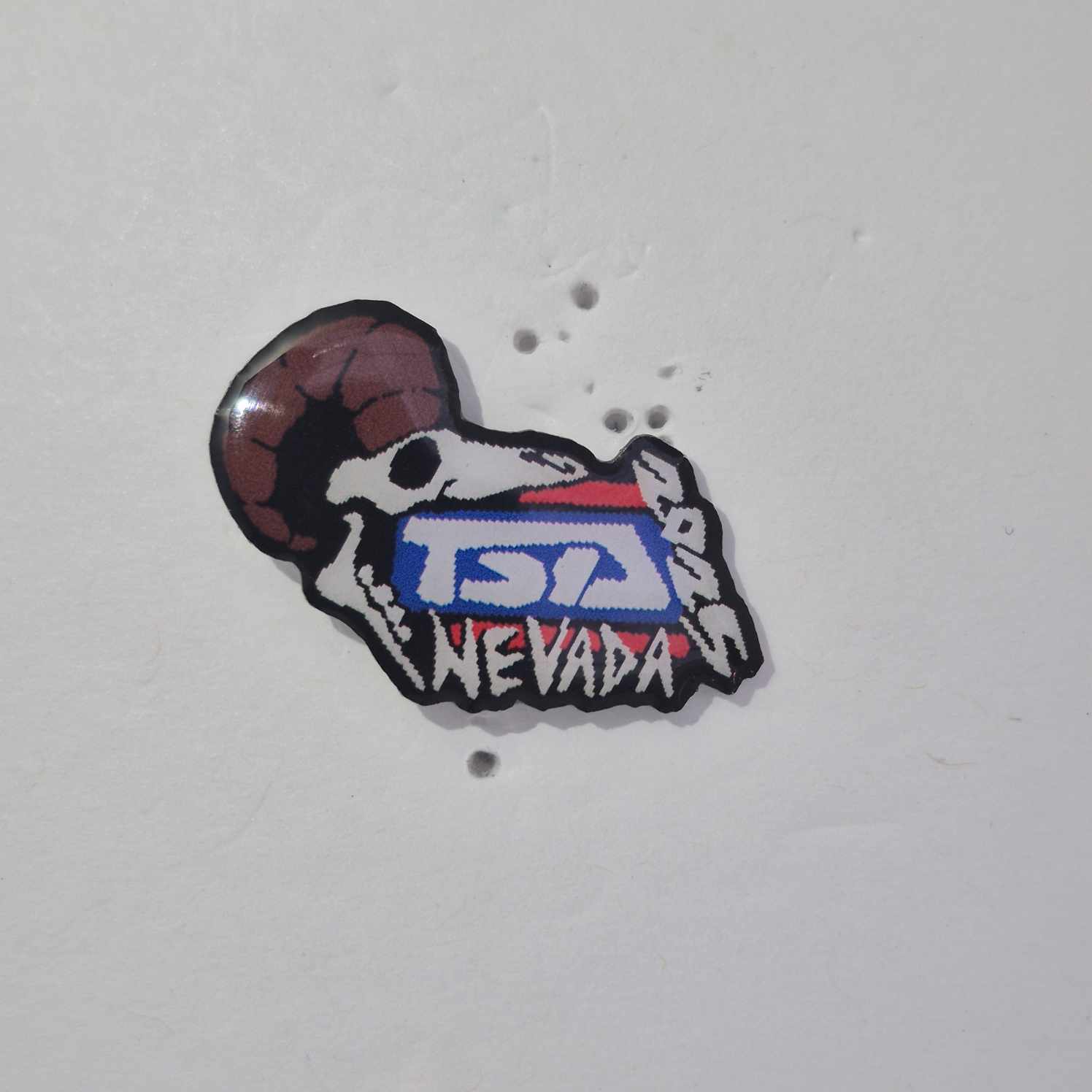 NV 2025 State Pin