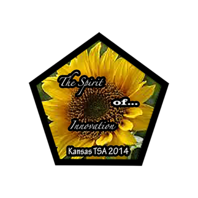 Kansas 2014 State Pin