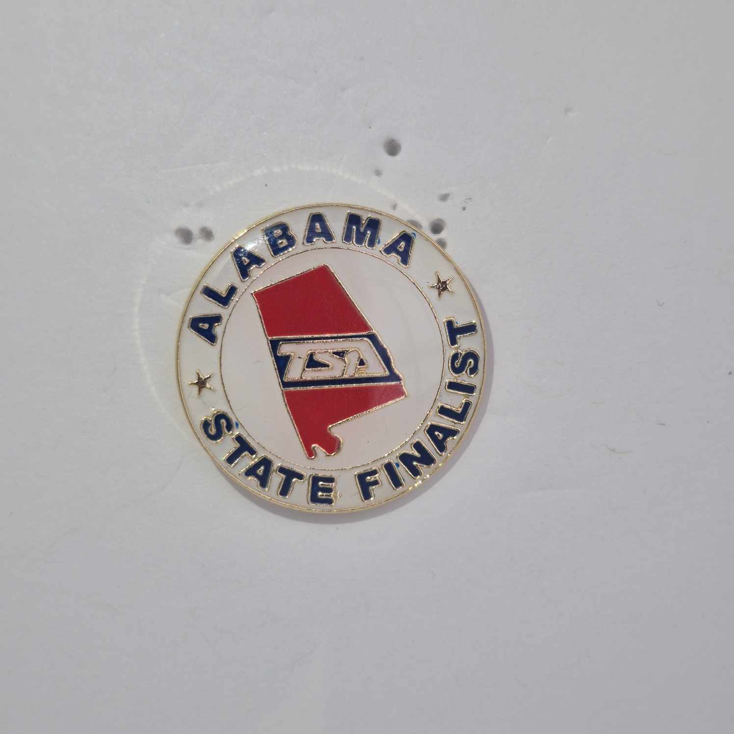 AL State Finalist Pin