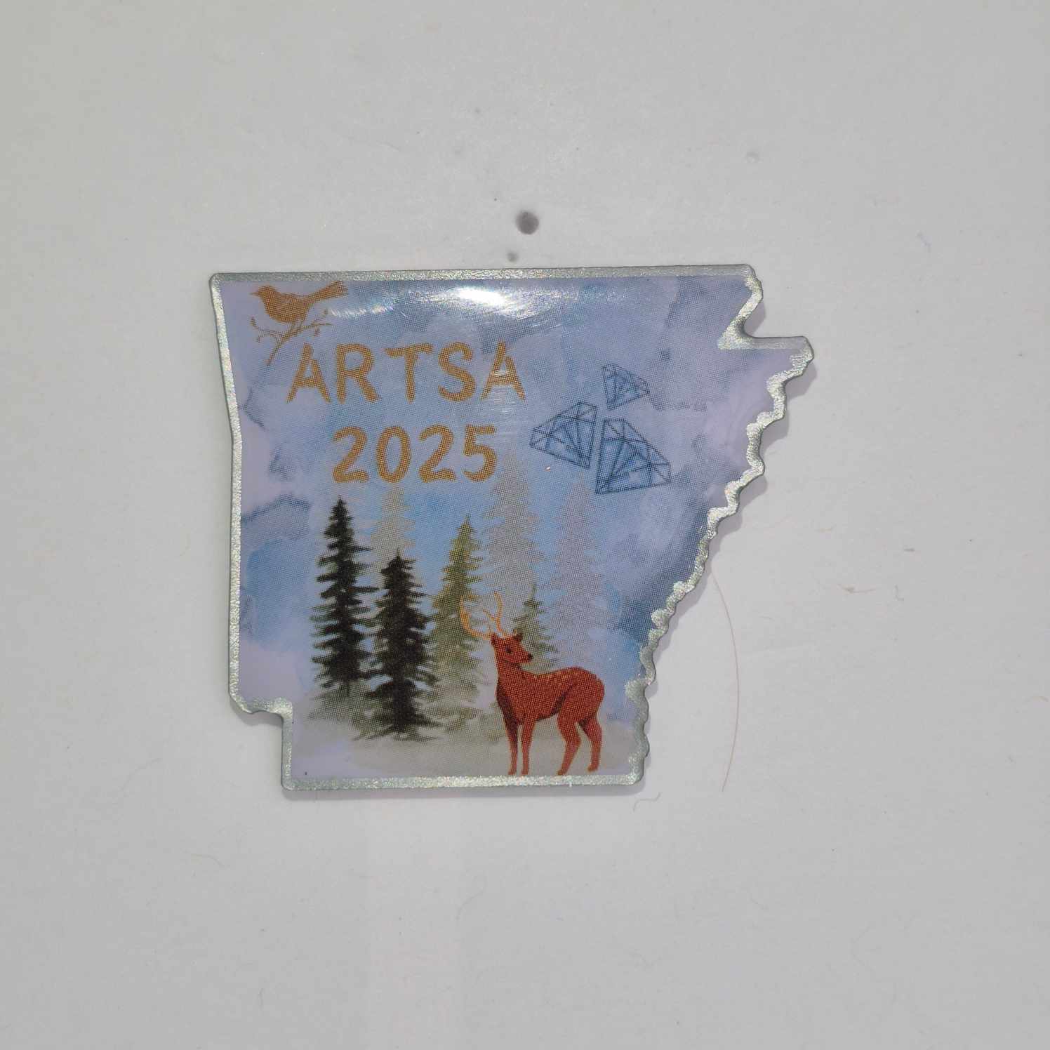 AR 2025 State Pin