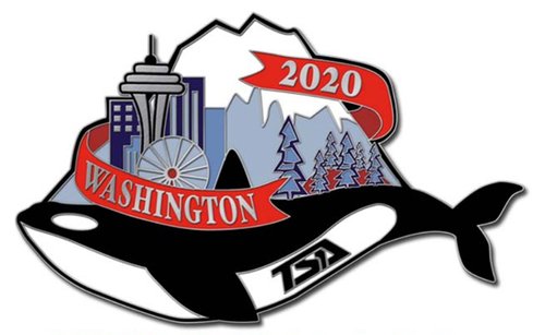 WA 2020 State Pin