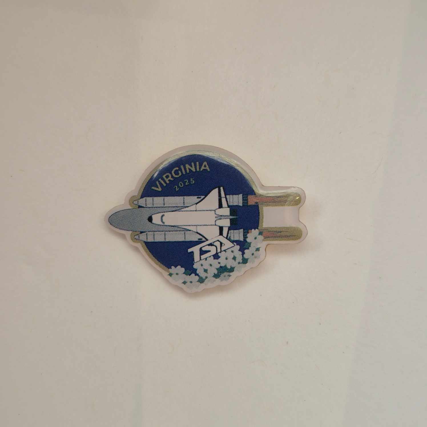 VA 2025 State Pin