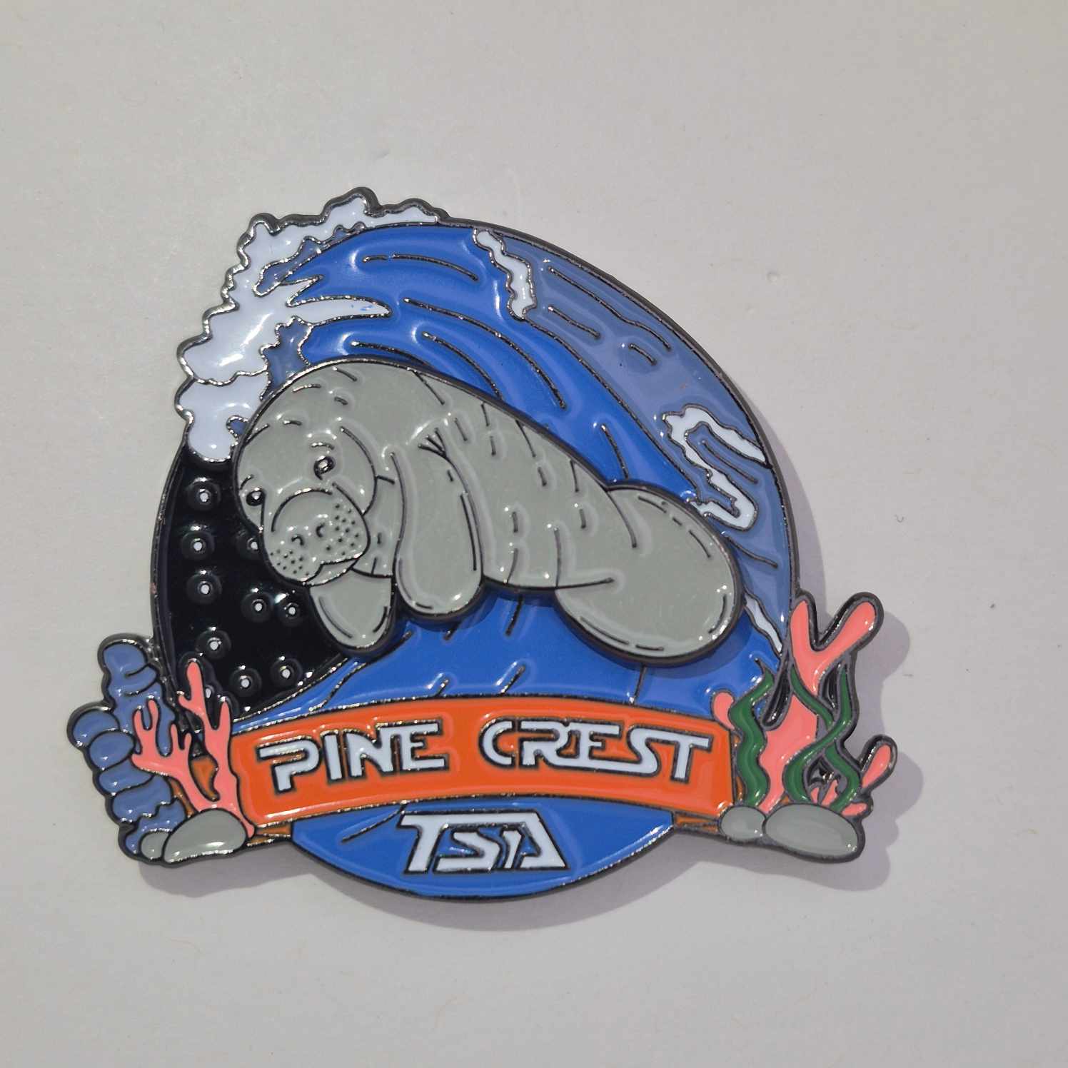 FL 2025 Pine Crest Pin