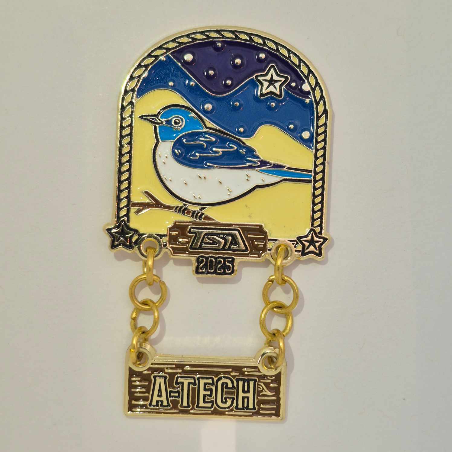 VA 2025 A-TECH Pin