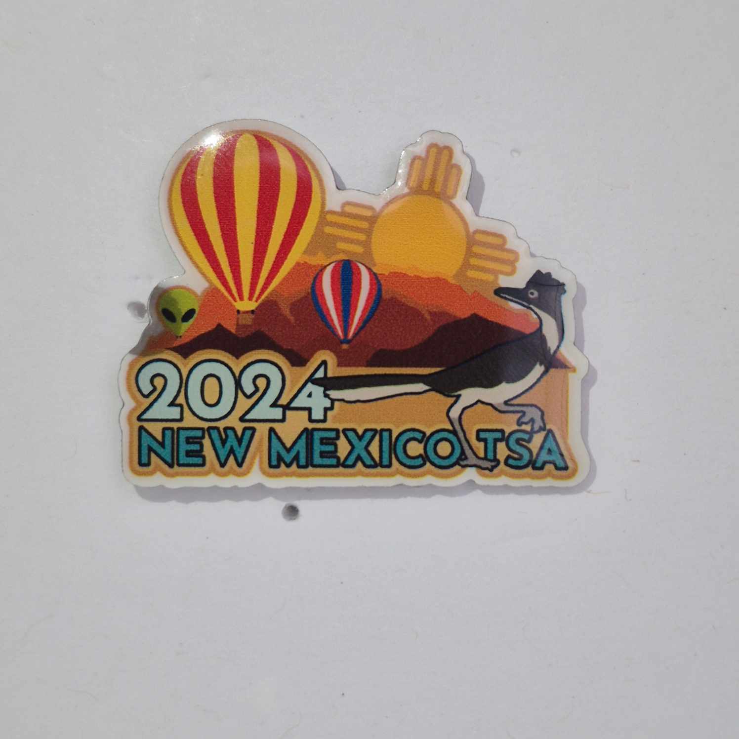 NM 2024 State Pin