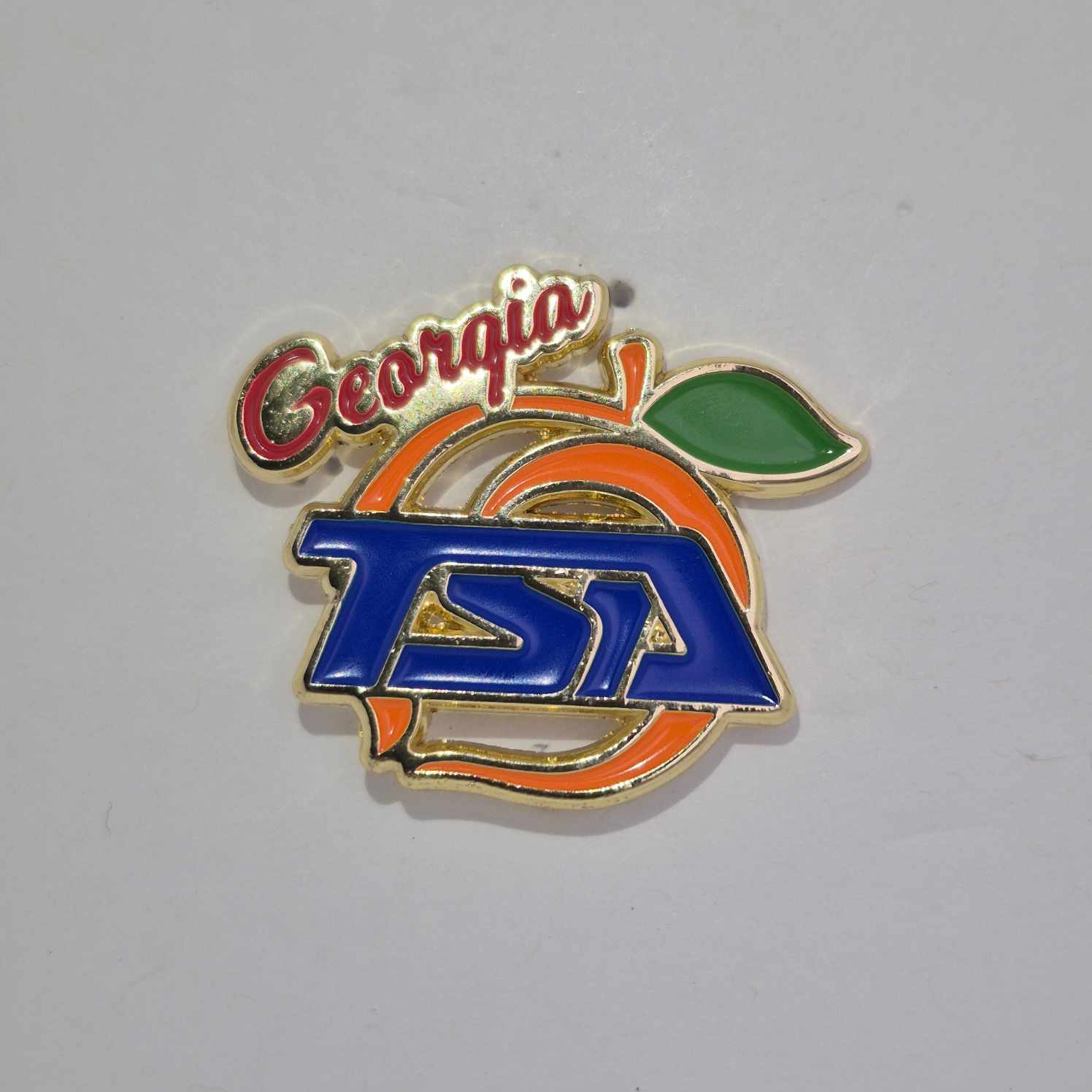 GA 2025 Stae Pin