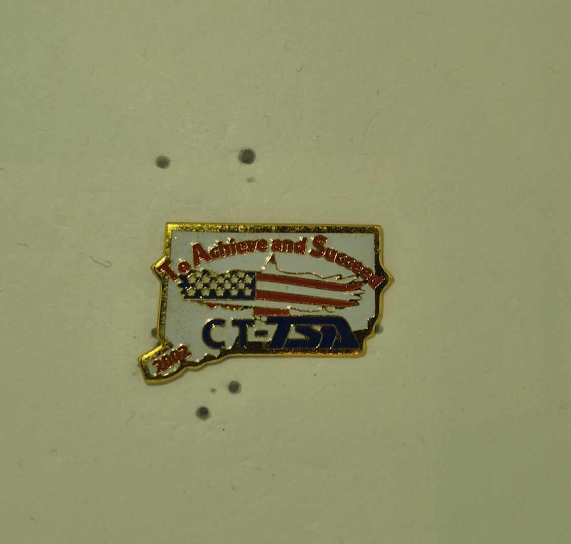 CT 2002 State Pin
